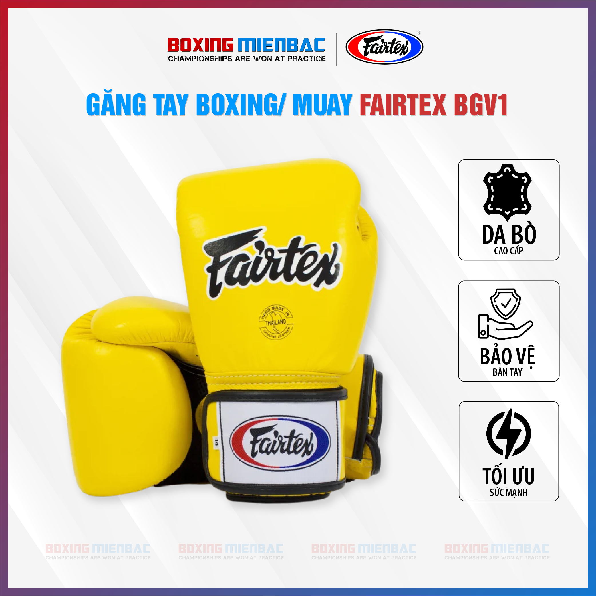 Găng Tay Fairtex Bgv1 Tight Fit Muay Thai/Boxing Gloves - Boxing/ MuayThai/ Kickboxing Training/ Vàng