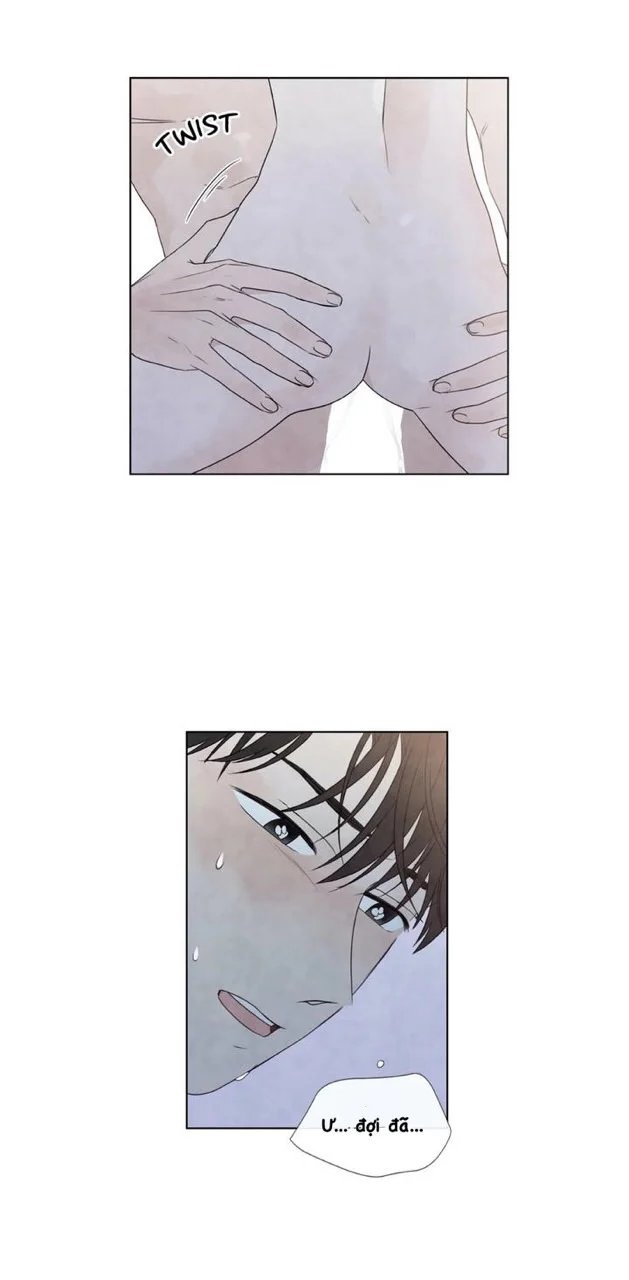 summer solstice point chapter 19 48