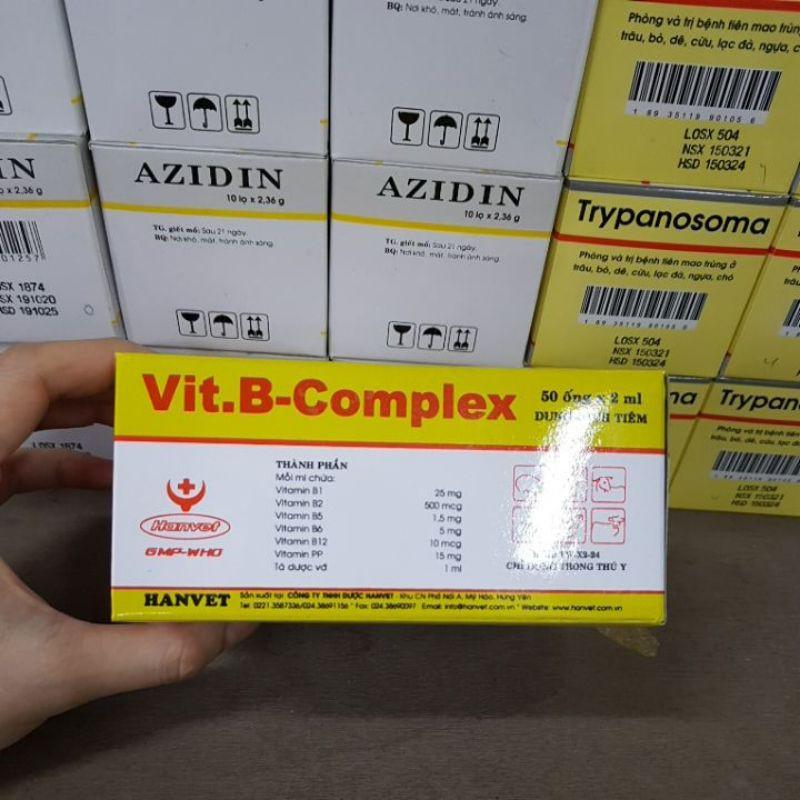 1 hôpk 50 ống 2ml vitamin bcomplex cho vật nuôi