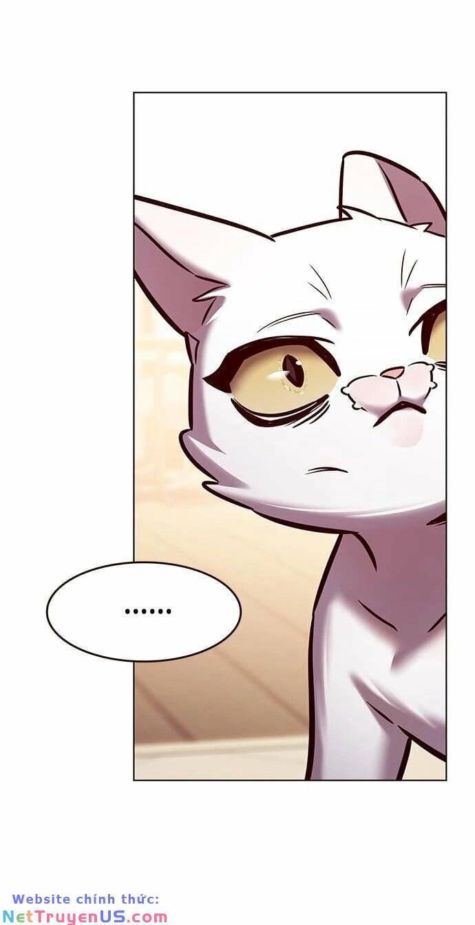 biến thân thành mèo chapter 275 65