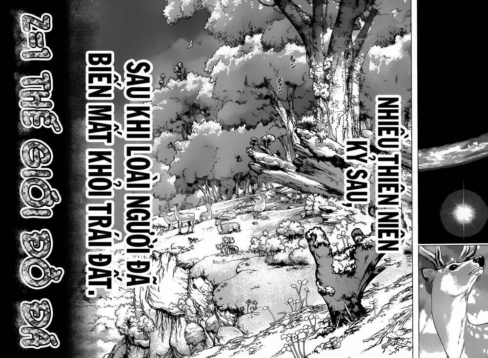 dr.stone - hồi sinh thế giới chapter 1 30