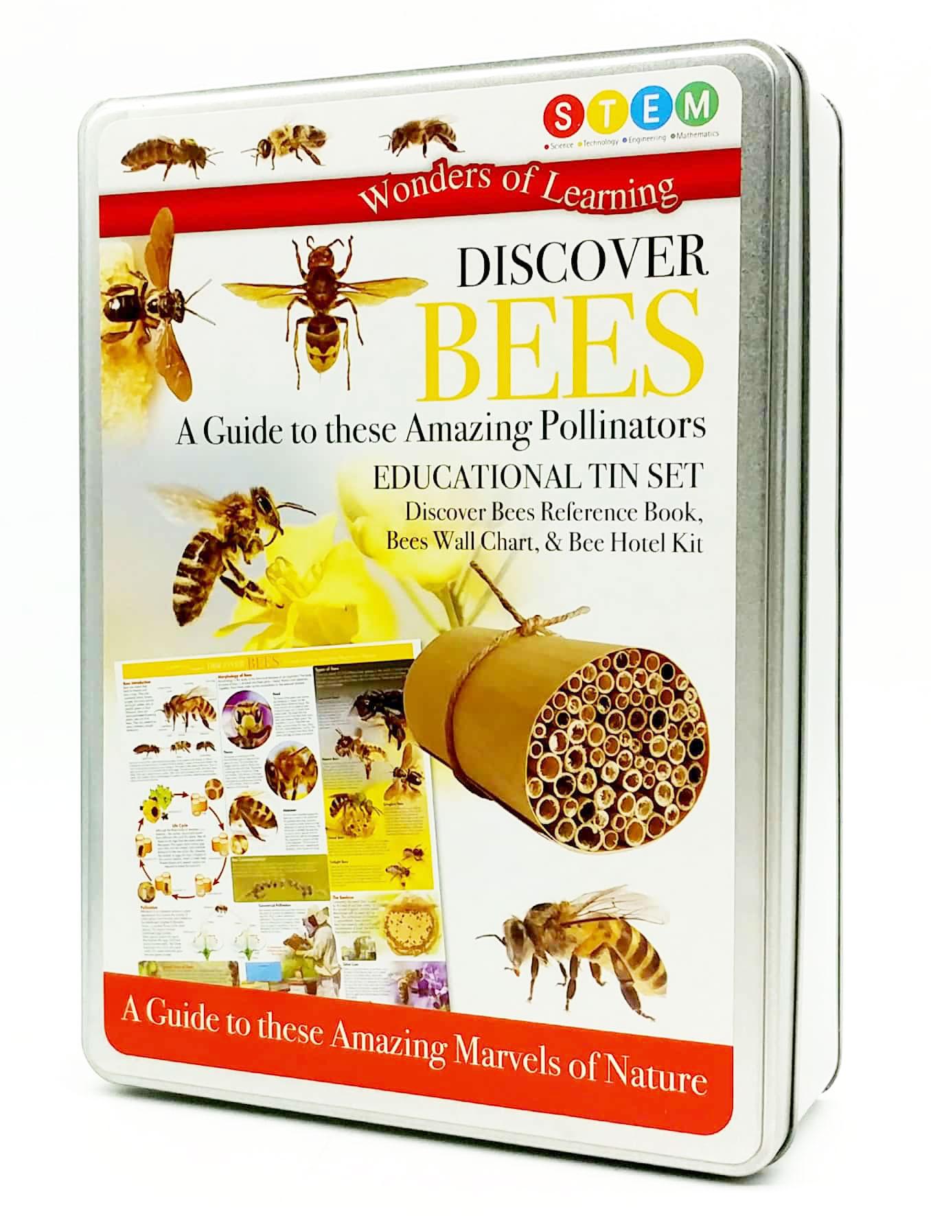 Wonder Of Learning - Discover Bees - A Guide To These Amazing Pollinators