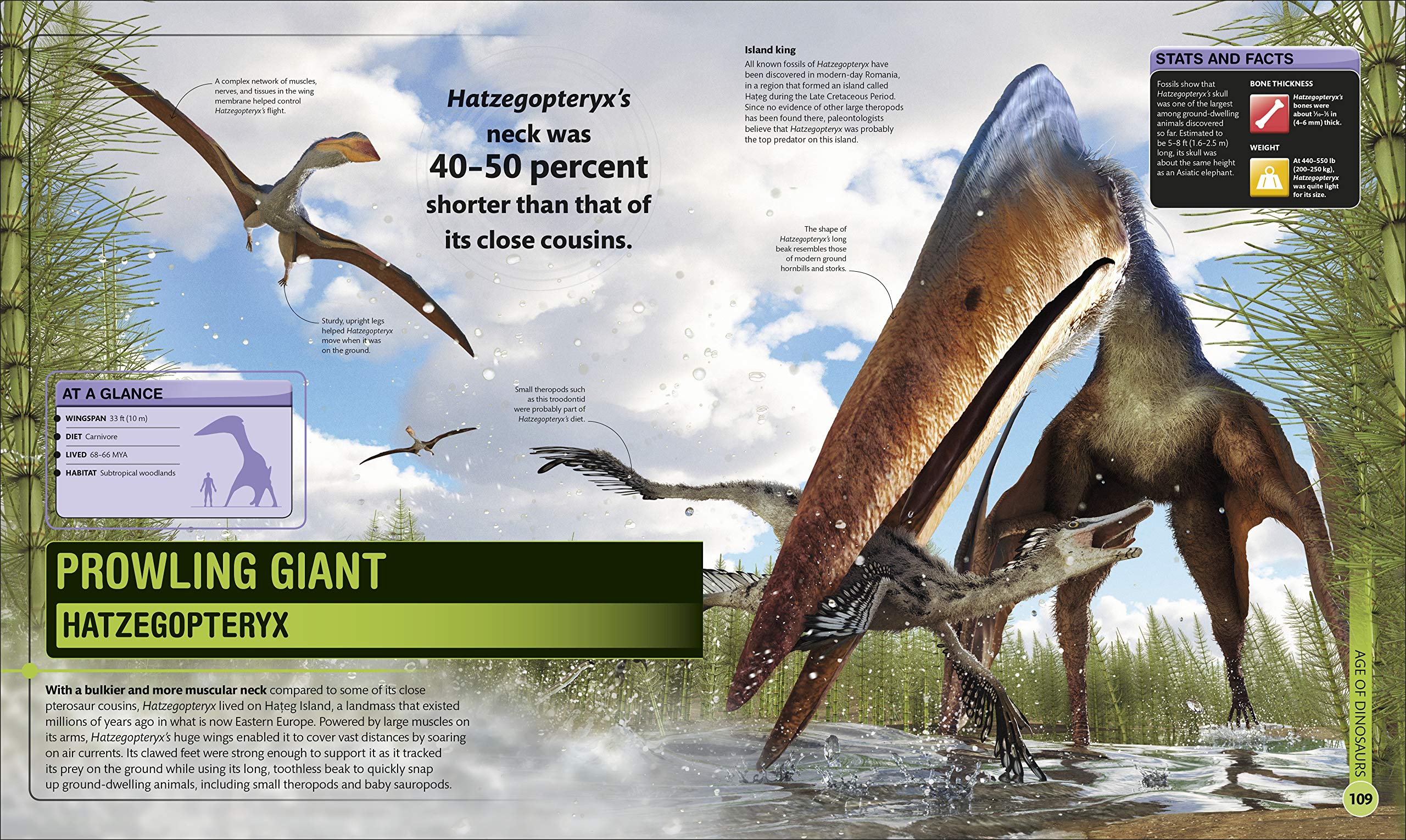 Super Dinosaur Encyclopedia: The Biggest, Fastest, Coolest Prehistoric Creatures (Super Encyclopedias)