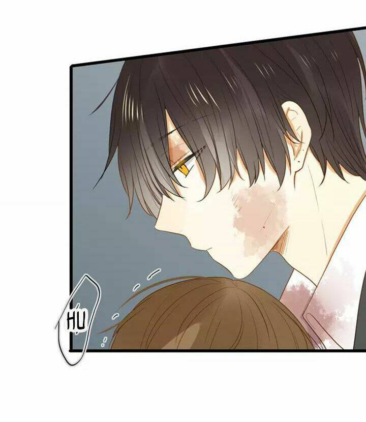 điều giáo quan hệ chapter 28 3