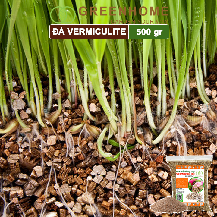 Đá Vermiculite (vơ mi), bao 500gr, ươm hạt giống, trồng rau mầm, đất hoa hồng, sen đá, thuỷ canh |Greenhome