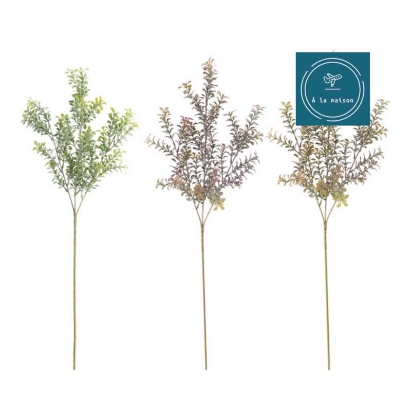 Cành lá hoàng dương nhân tạo 70cm trang trí không gian xanh mát