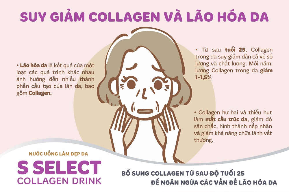 Mua 1 Tặng 1 Hộp Nước Uống Đẹp Da S Select Collagen Drink Collagen Peptide, Chống Lão Hóa Da, Khỏe Tóc & Móng