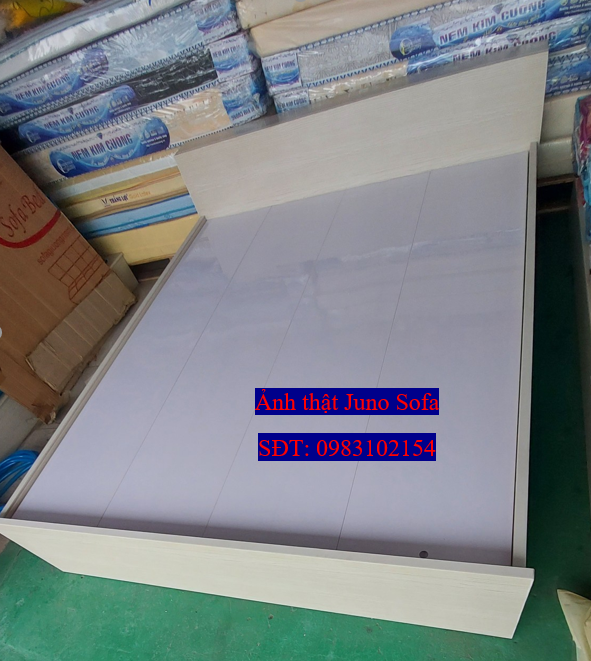 Giường nhựa 1m6 hoặc 1m8 x 2m bề mặt Nhựa cứng ECO bền chắc chịu lực 500 kg