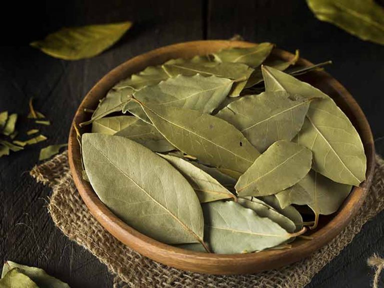 Lá Nguyệt Quế Khô Thương Hiệu Hava Foodies Gói 100g – Bay Leaves