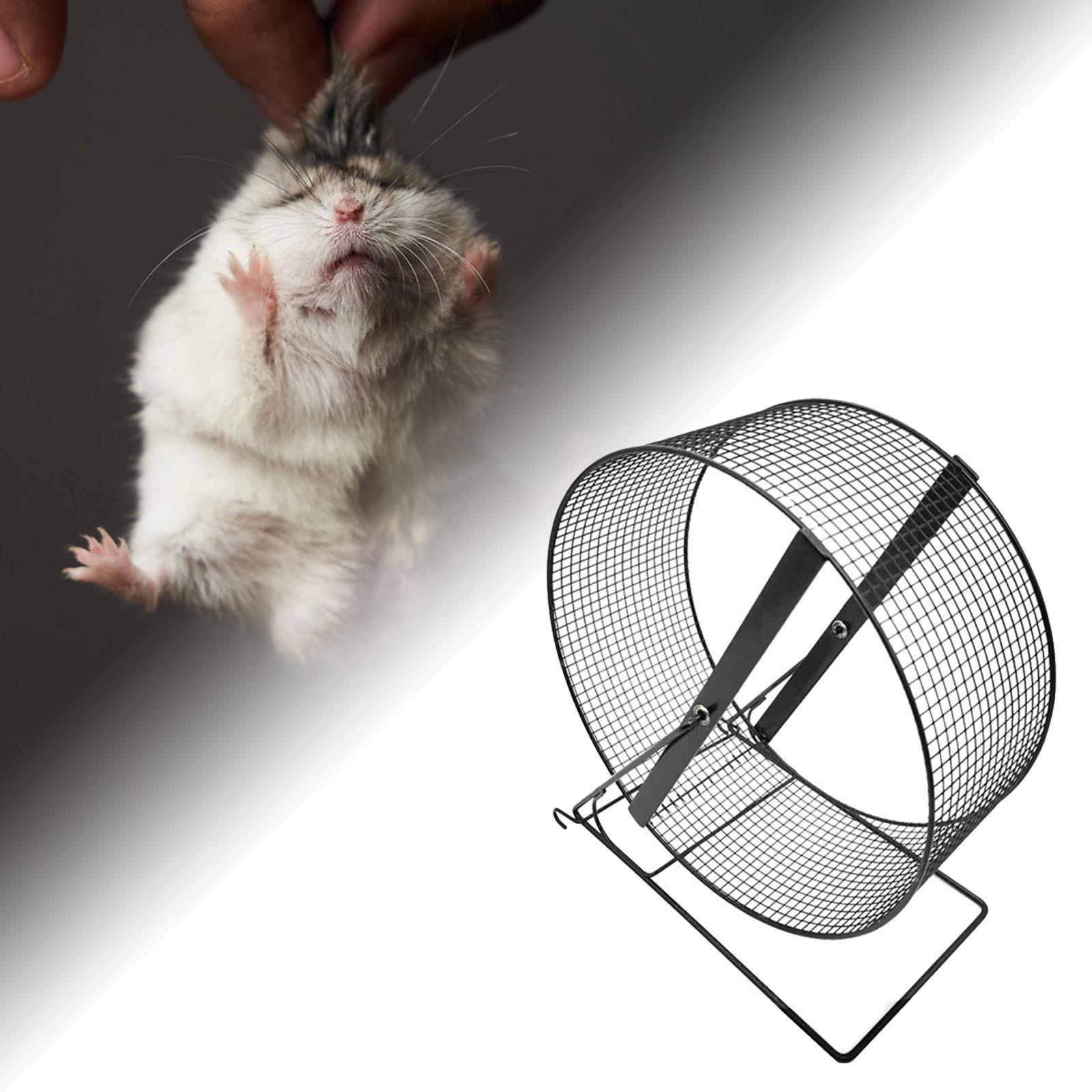 Iron Hamster Running Exercise Wheel Guinea Pig Jogging Wheel Black Wire Mesh