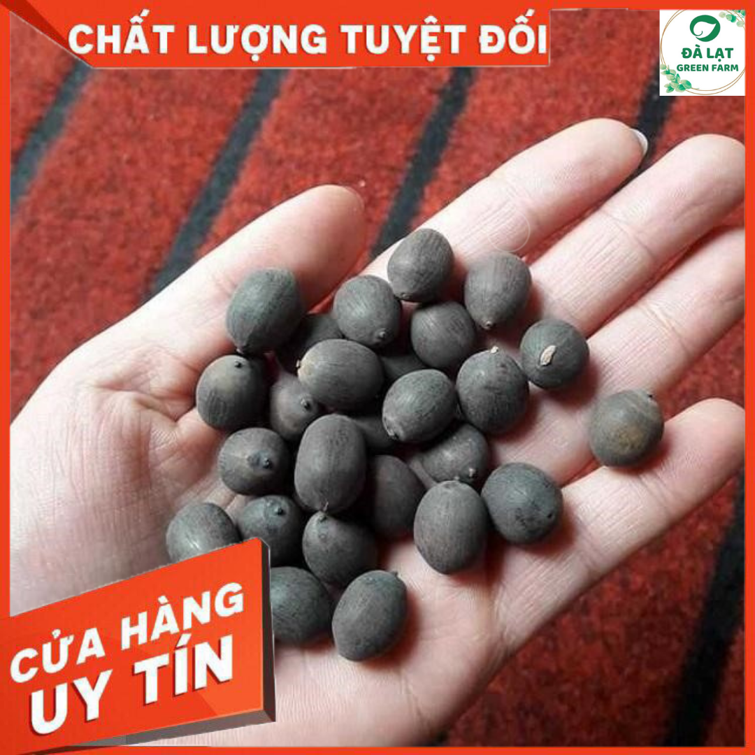 Hạt giống Sen Thái, Sen Quan Âm (5 hạt)