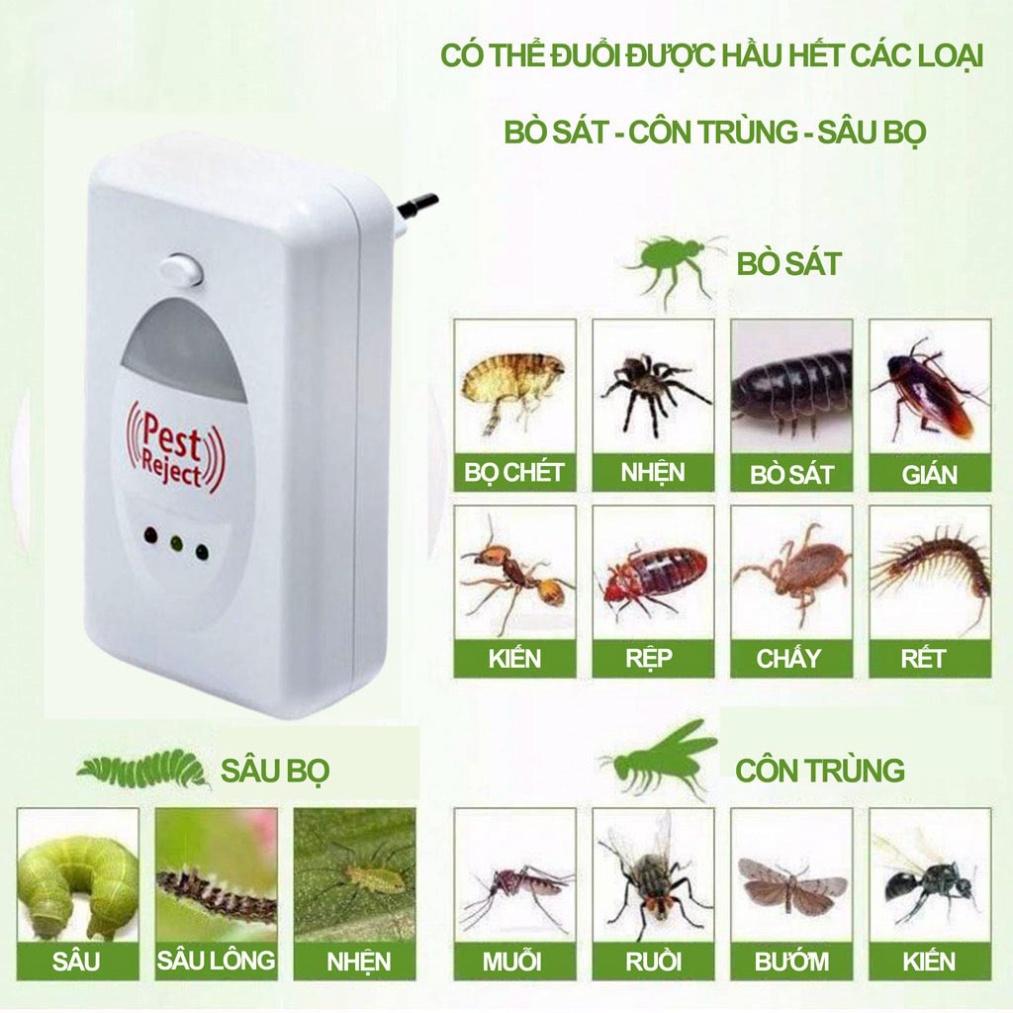 Thiết Bị Đuổi Côn Trùng Pest Reject - Máy Đuổi Chuột , Gián . Kiến Bằng Sóng Âm
