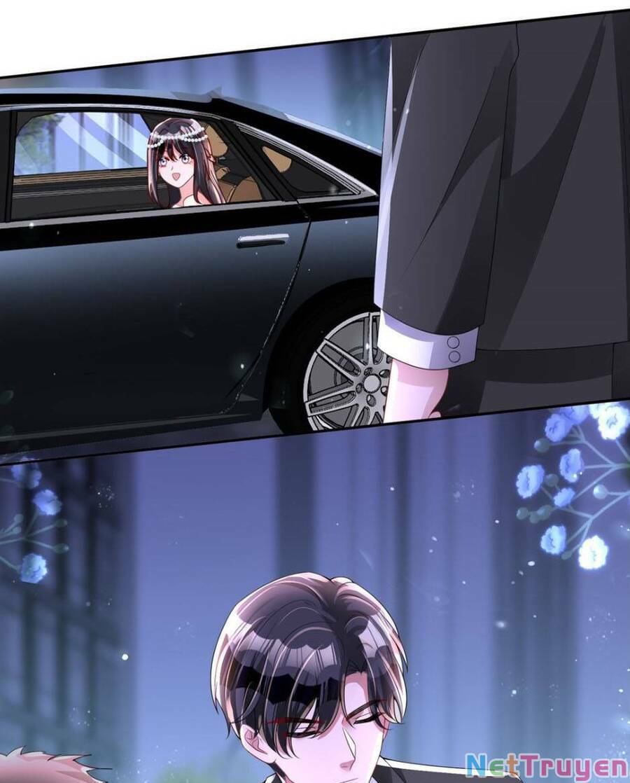 tổng tài huyết tộc cực sủng cô vợ mỹ nhân ngư chapter 69 3