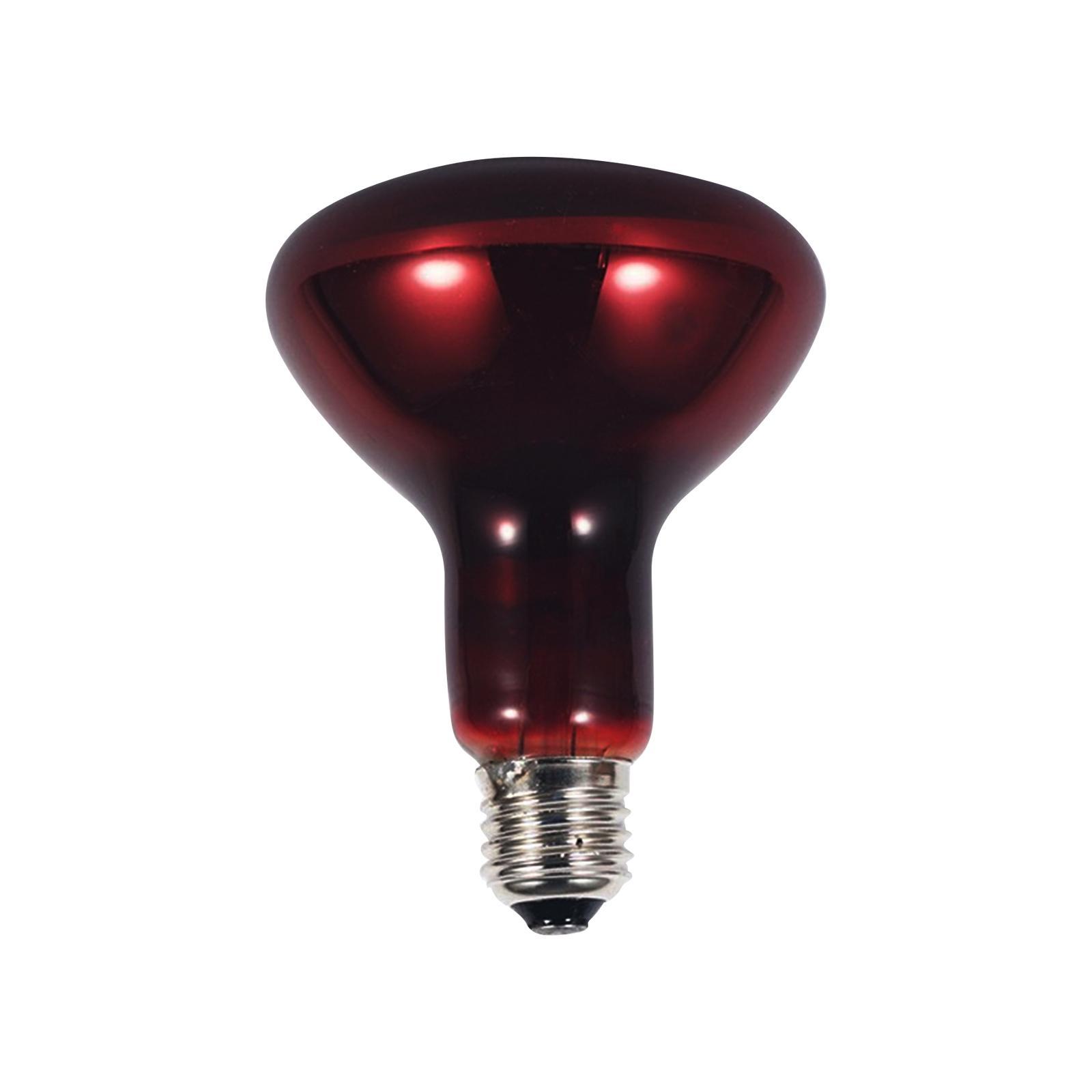 E27 Reptile Light Bulb Heating Lamp Hedgehogs Pet Supplies 100W Warm