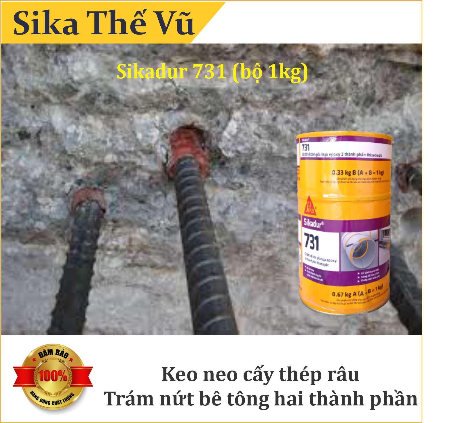 Keo neo thép râu, trám nứt bê tông hai thành phần - Sikadur 731 (bộ 1kg)