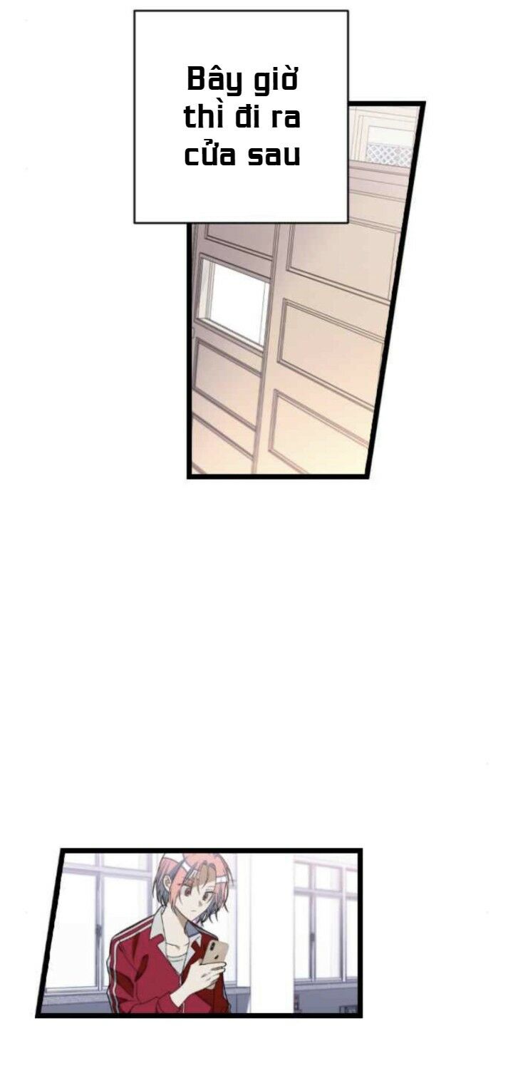 survive romance chapter 38 18