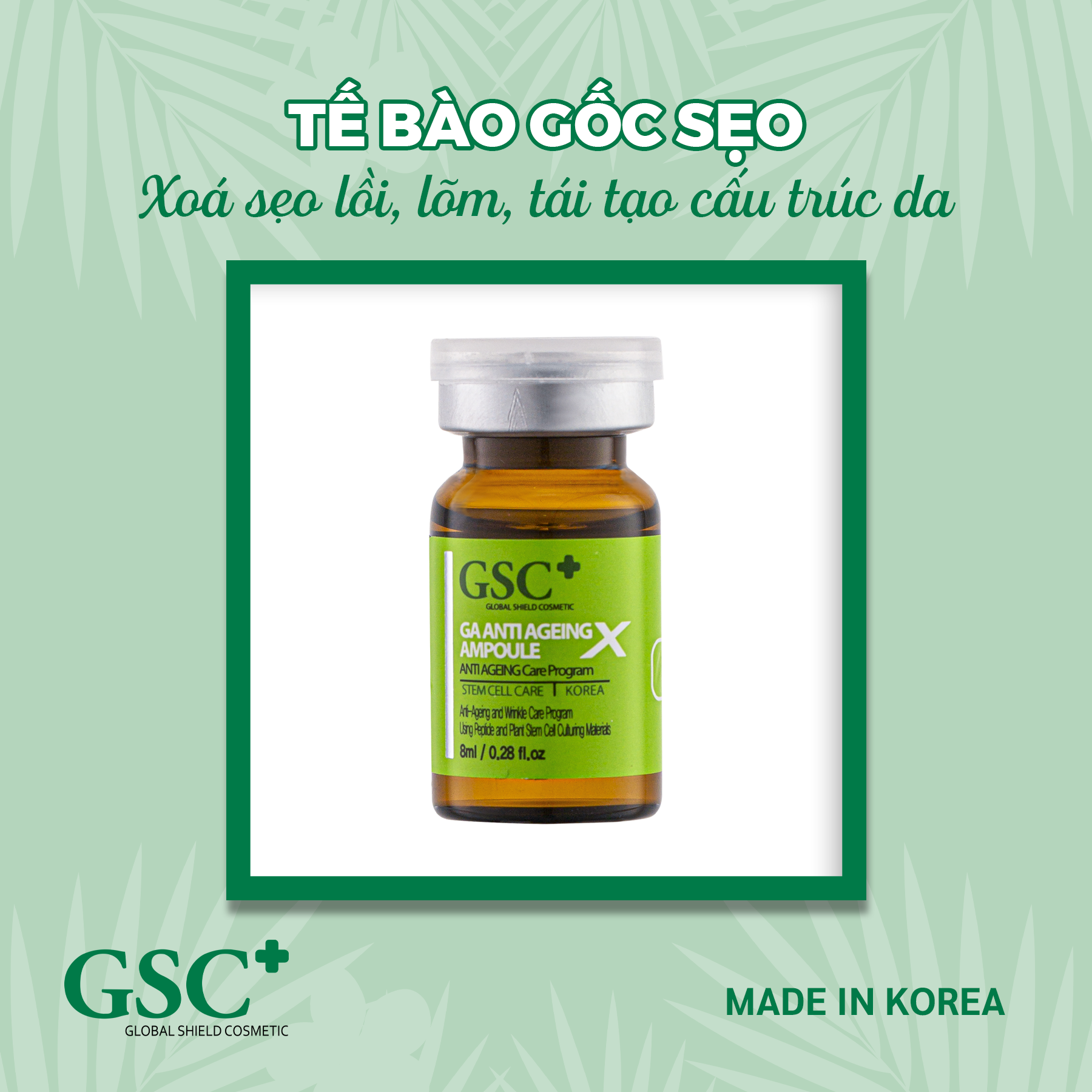  Tế bào gốc hỗ trợ sẹo, trẻ hoá da Hàn Quốc GSC GA ANTI AGEING AMPOULE, giúp xóa sẹo lồi, lõm, tái tạo cấu trúc da