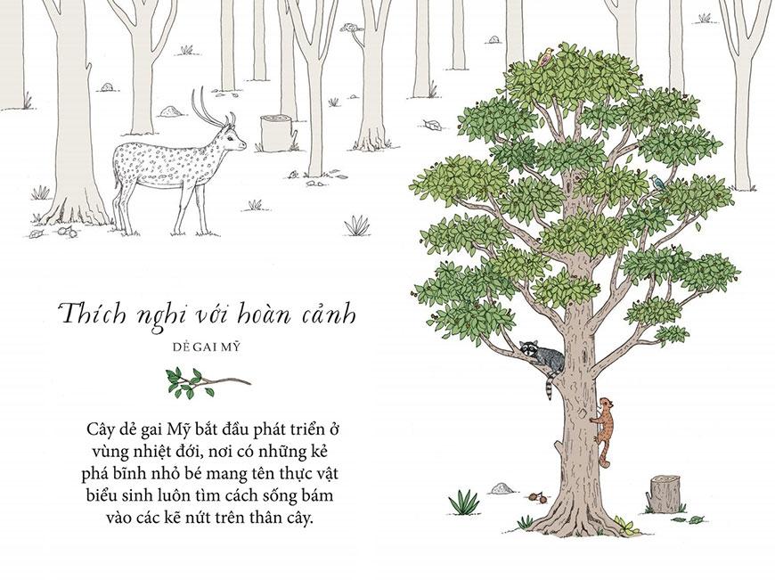 Sống Như Những Cái Cây - Những Bài Học Nhỏ Để Có Nguồn Hạnh Phúc Bất Tận (Tái Bản 2021)