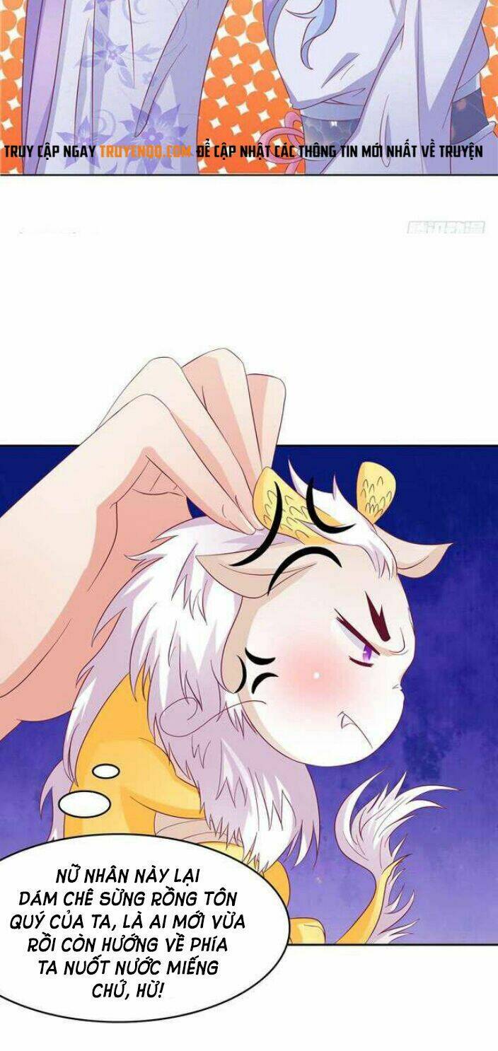 nghịch thiên độc y: long tôn cầu buông ra chapter 5 6