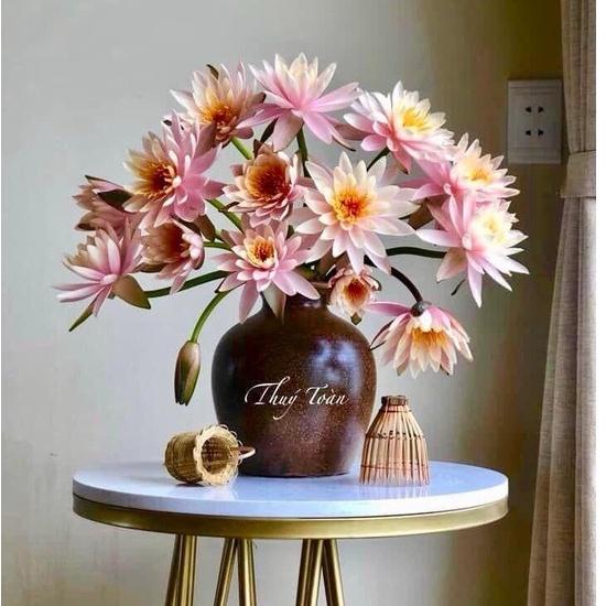 Bình Hoa Lọ Hoa Dáng Vò Tròn To Có Cổ Men Mộc Gốm Sứ Bát Tràng - Gốm Bích