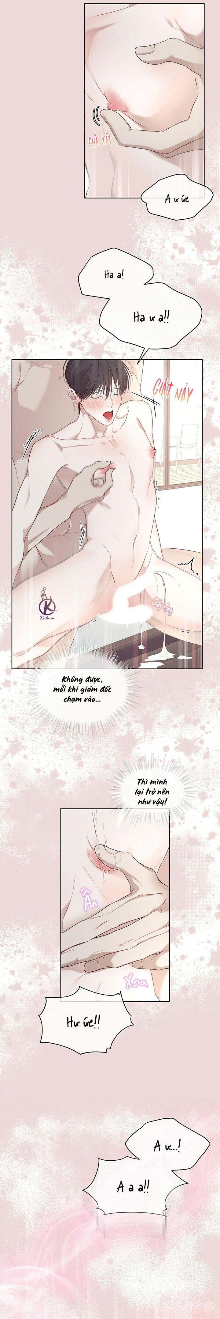 hình thái khởi sinh chapter 48 7