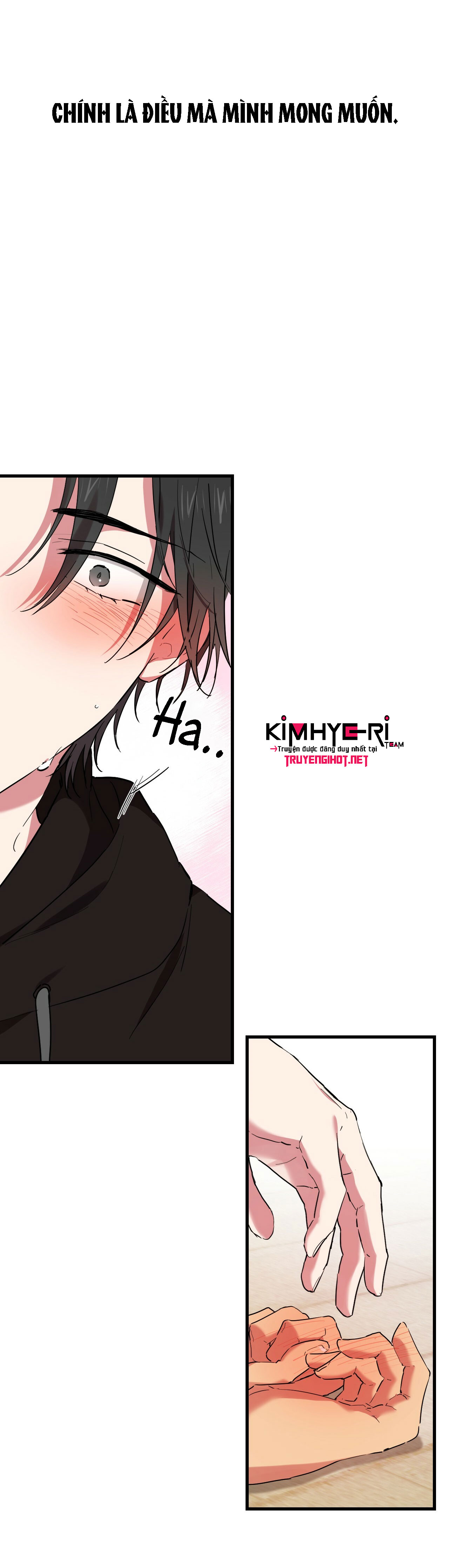 những chú thỏ của hapypy chapter 8 41