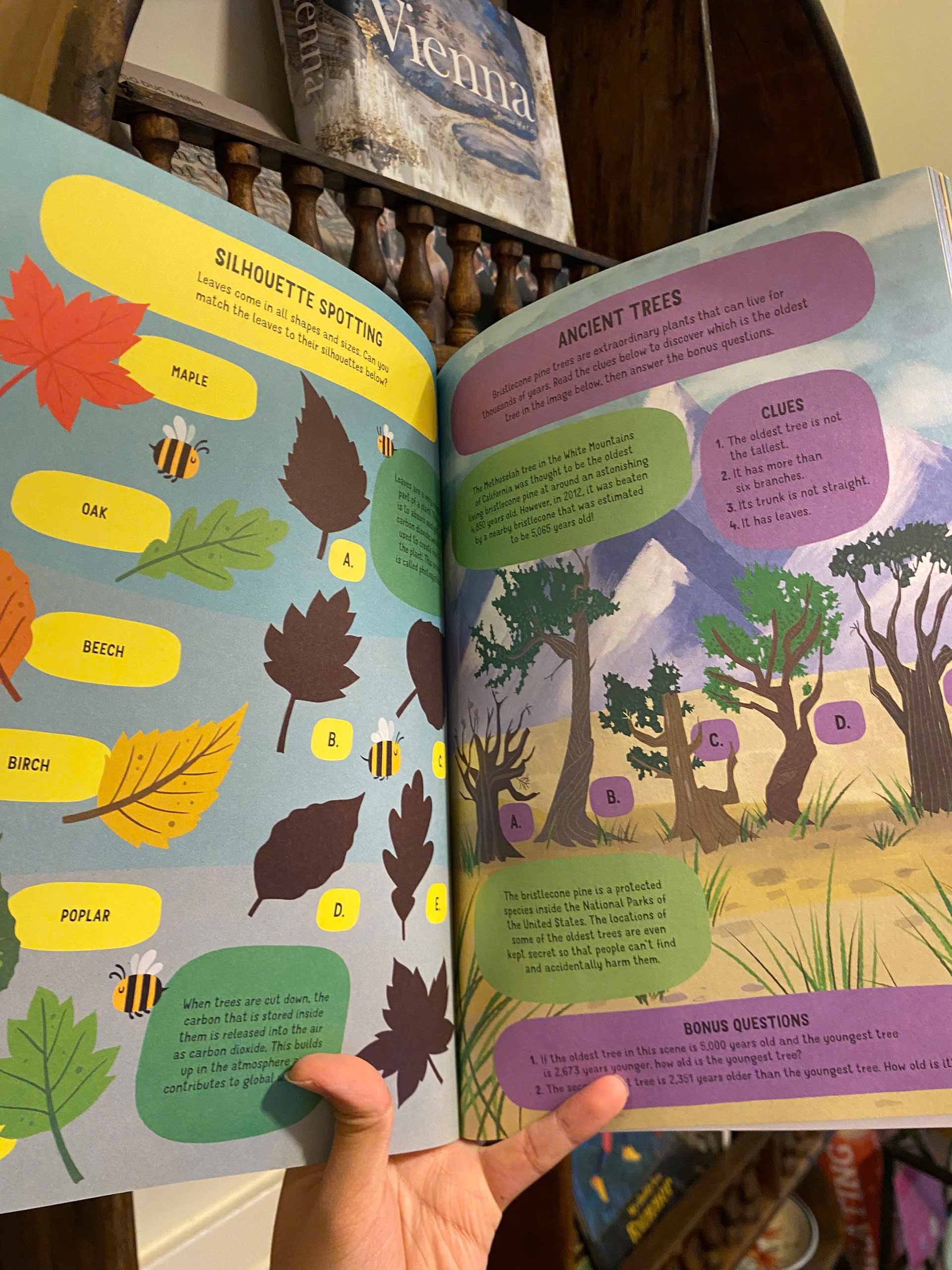 Sách - Big Green Busy Book by Damara Strong | Learn Simple Ways - Children's Activity Sticker Book