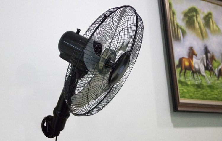 CÔNG TY CỔ PHẨN TMDV XUẤT NHẬP KHẨU NGÔI NHÀ SỐ