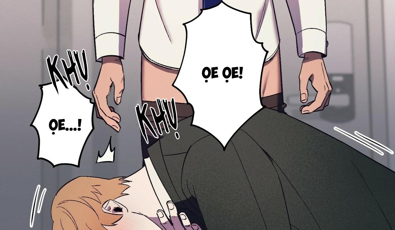 chàng dâu nhà họ kang chapter 16 102