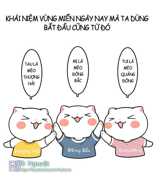 nếu lịch sử là một bầy mèo chapter 4 26