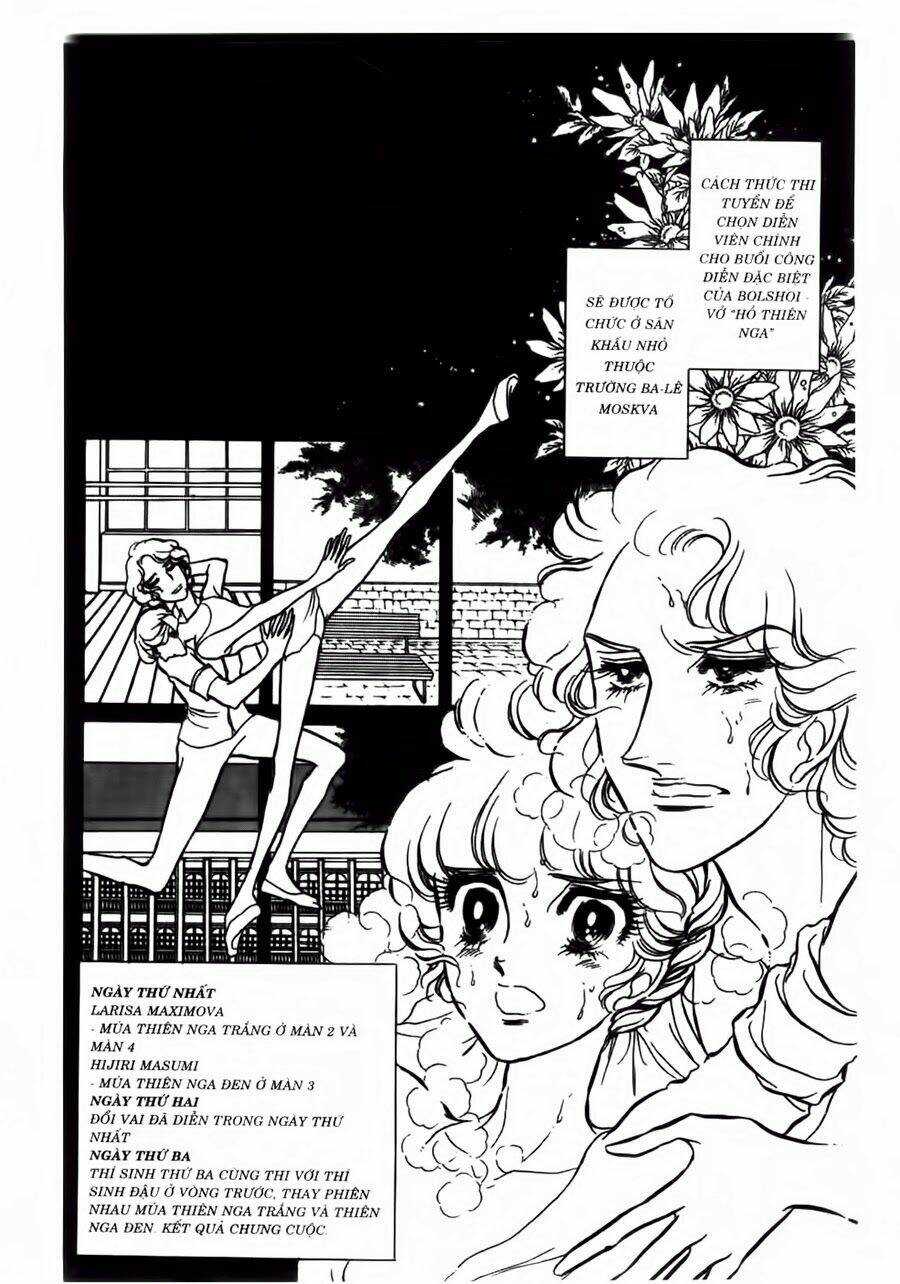 swan - vũ khúc thiên nga chapter 40 15