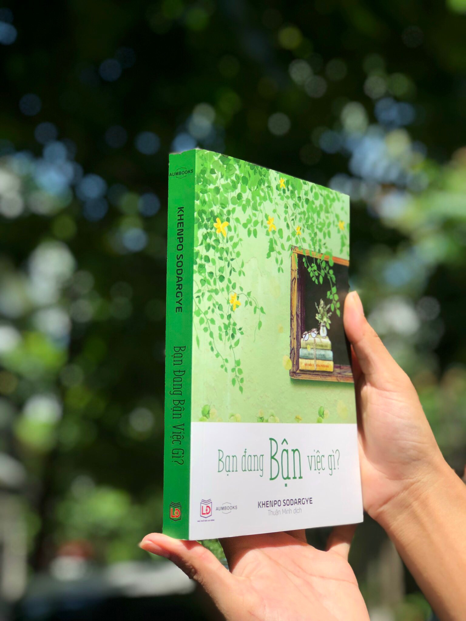 BỘ SÁCH "BẬN" ( Bạn Đang Bận Việc Gì Và Chẳng Gì Khiến Ta Bận Lòng ) - Sách Tôn Giáo, Nghệ Thuật Và Văn Hóa, Tác Giả KHENPO SODARGYE - Á Châu Books, bìa mềm, in màu