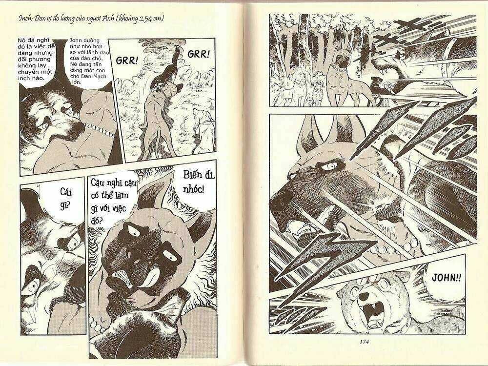 chú chó có nghĩa - ginga nagareboshi gin chapter 10 9