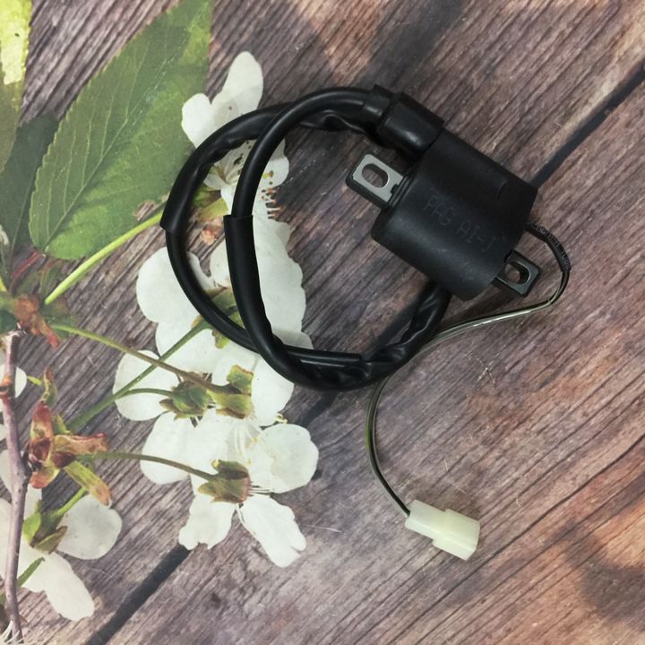 Mô bin sườn cao áp dành cho xe ZX, Wave 110, Wave Alpha 2002-2006 - TB2129
