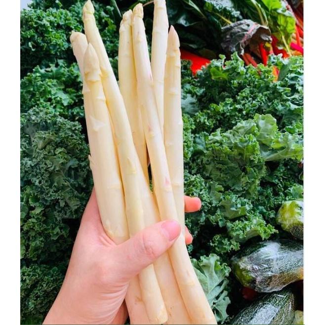 Hạt giống măng tây trắng F1 CT337 - Gói 10 hạt
