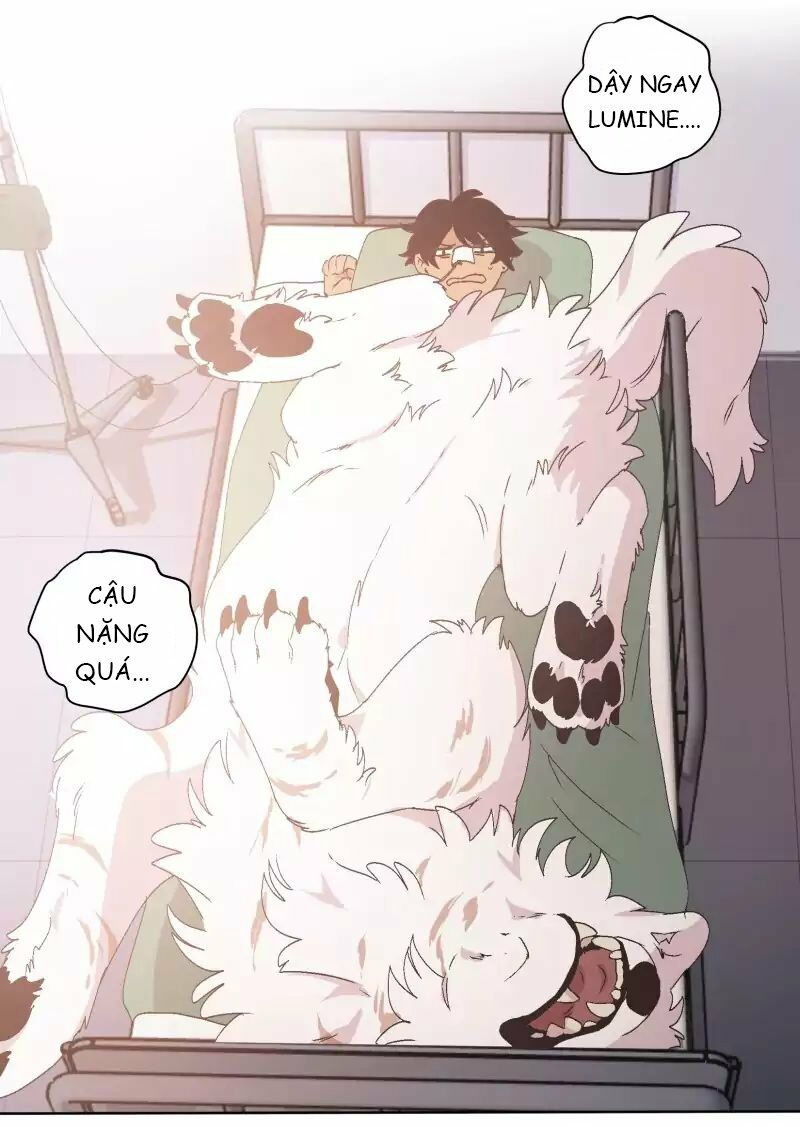 lumine - cội nguồn ánh sáng chapter 33 25