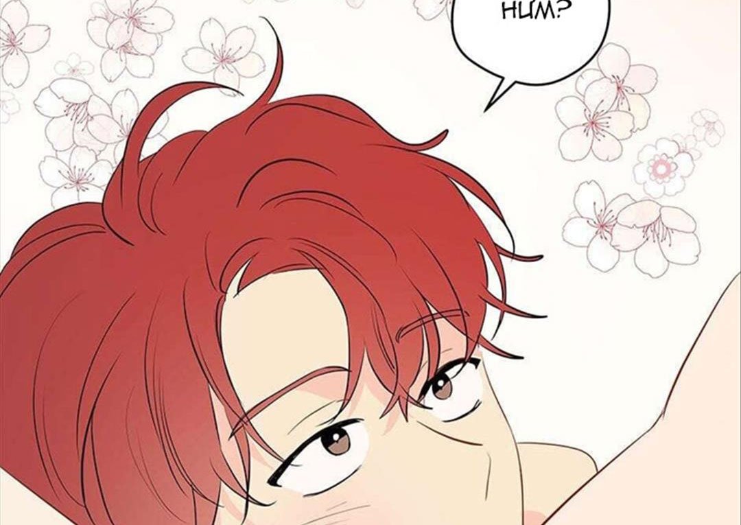 chuyện quái gì với giấc mơ đó vậy chapter 29 68