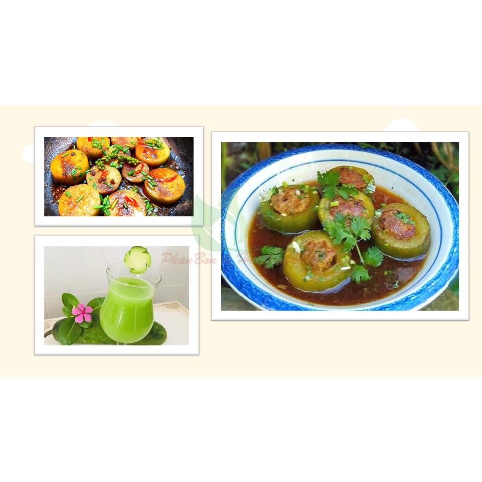 Hạt Giống Bí đao Chanh Dễ Trồng, Siêu Trái 0,2Gr - Phú Nông Seeds - Phú Nông Seeds
