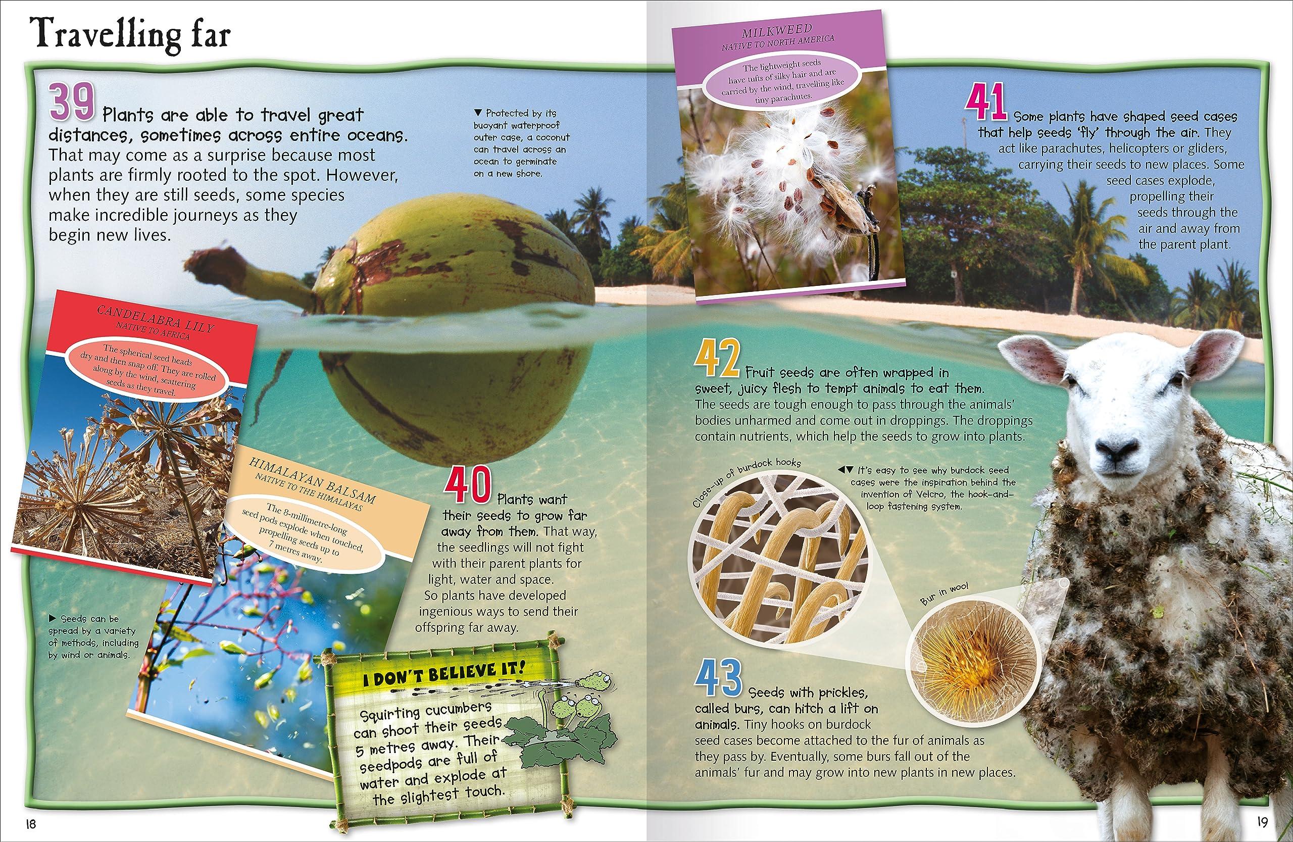 Sách ngoại văn: 100 Facts Plant Life