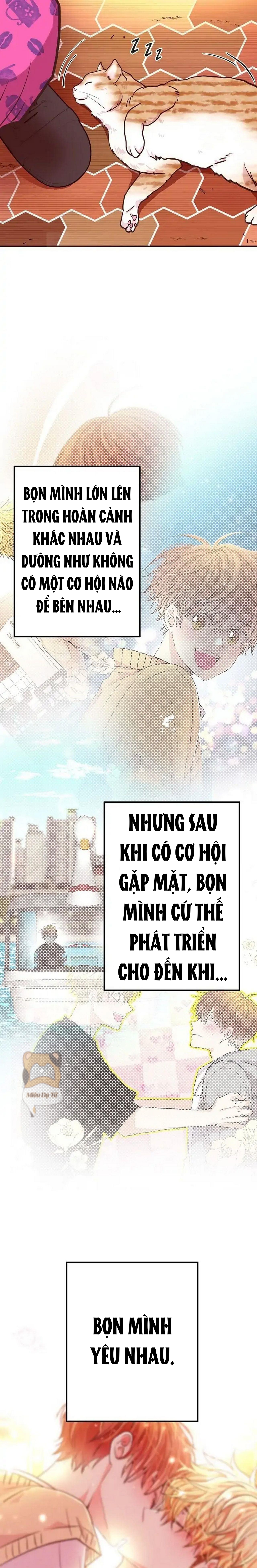 mối quan hệ phù hợp chapter 20 3