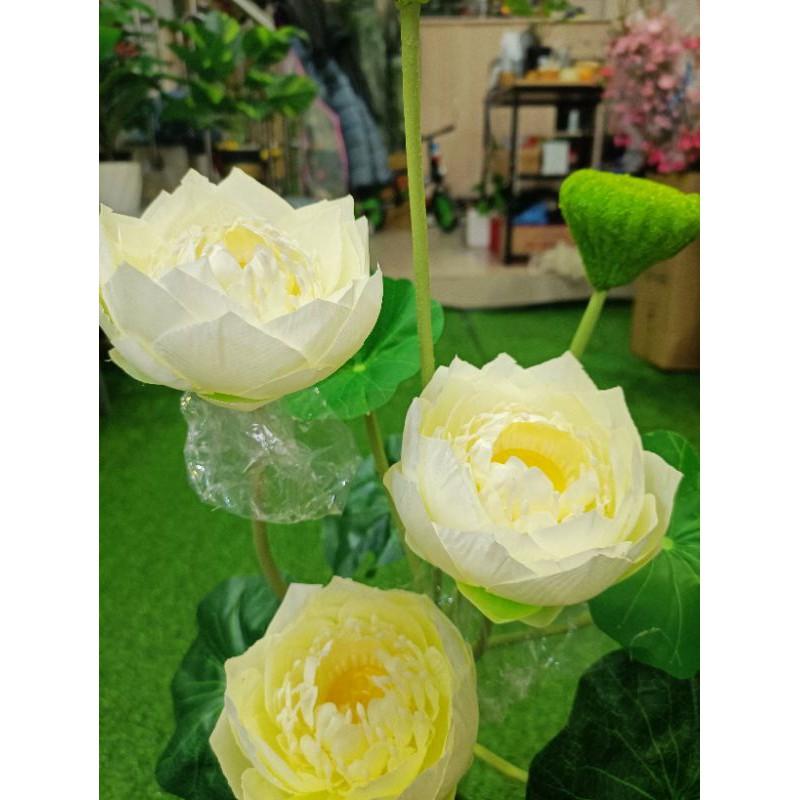 Cành sen giả,sen thái cánh kép cao 77cm,lụa cao cấp, lá in 3D-hoaluaminhhoa