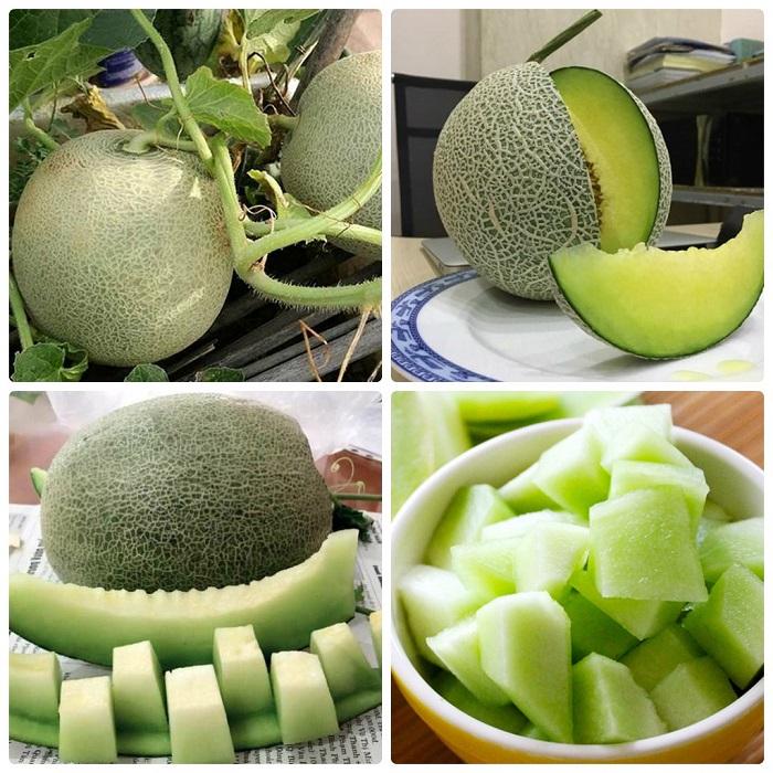 Hạt Giống Dưa Lưới Xanh Giòn Ngọt -