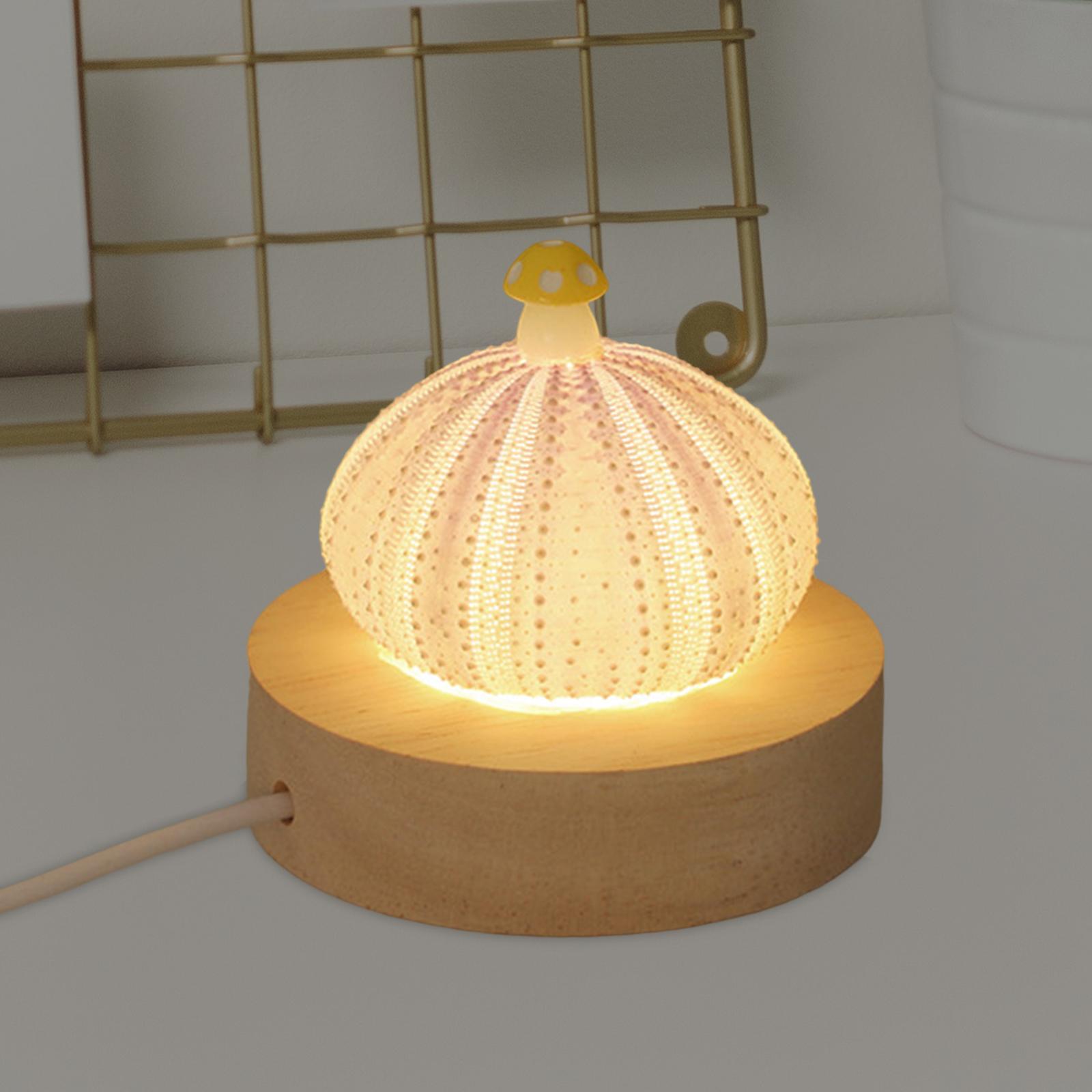 Decorative Table Lights Shell with LED Function Birthday Gift Mini Table Lamp