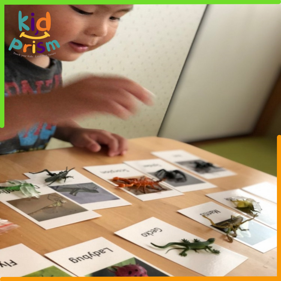 Thẻ hình & mô hình động vật chất liệu nhựa an toàn giúp bé phát triển trí tuệ