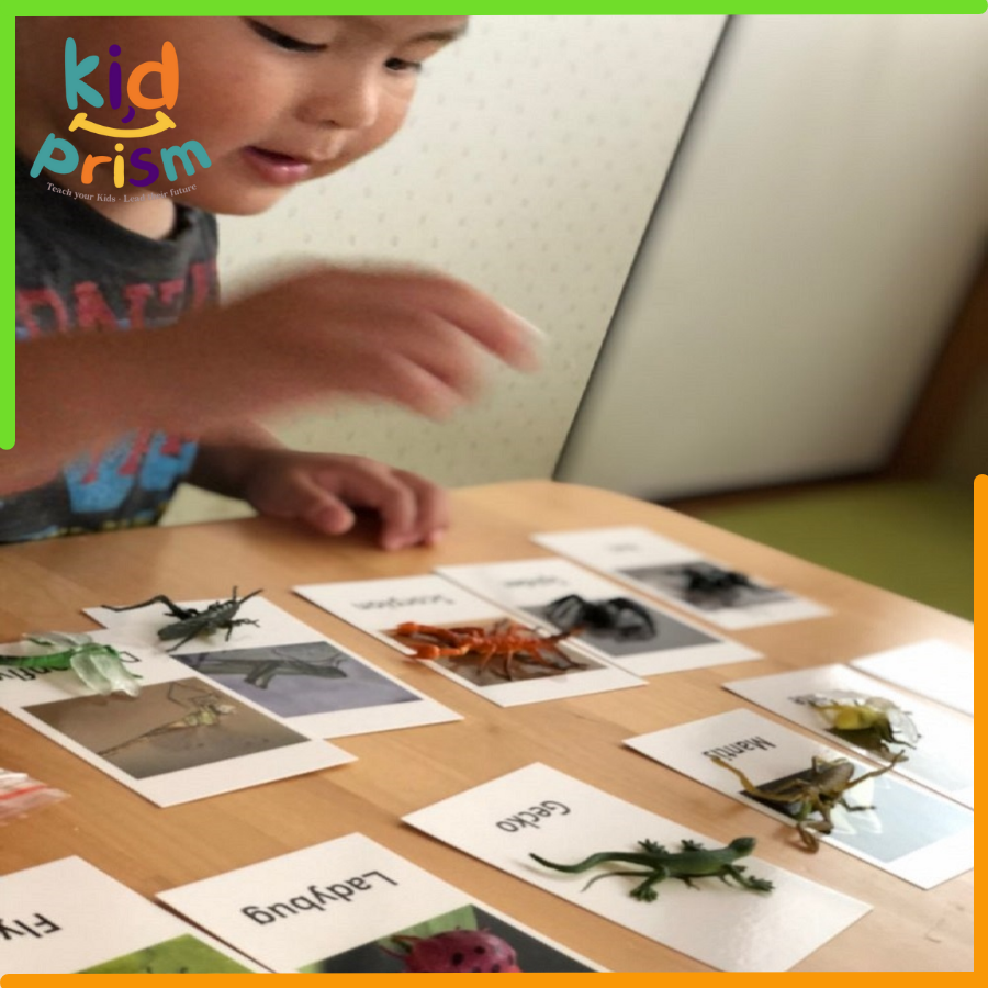 Thẻ hình &amp; mô hình động vật chất liệu nhựa an toàn giúp bé phát triển trí tuệ (Giáo cụ Montessori)