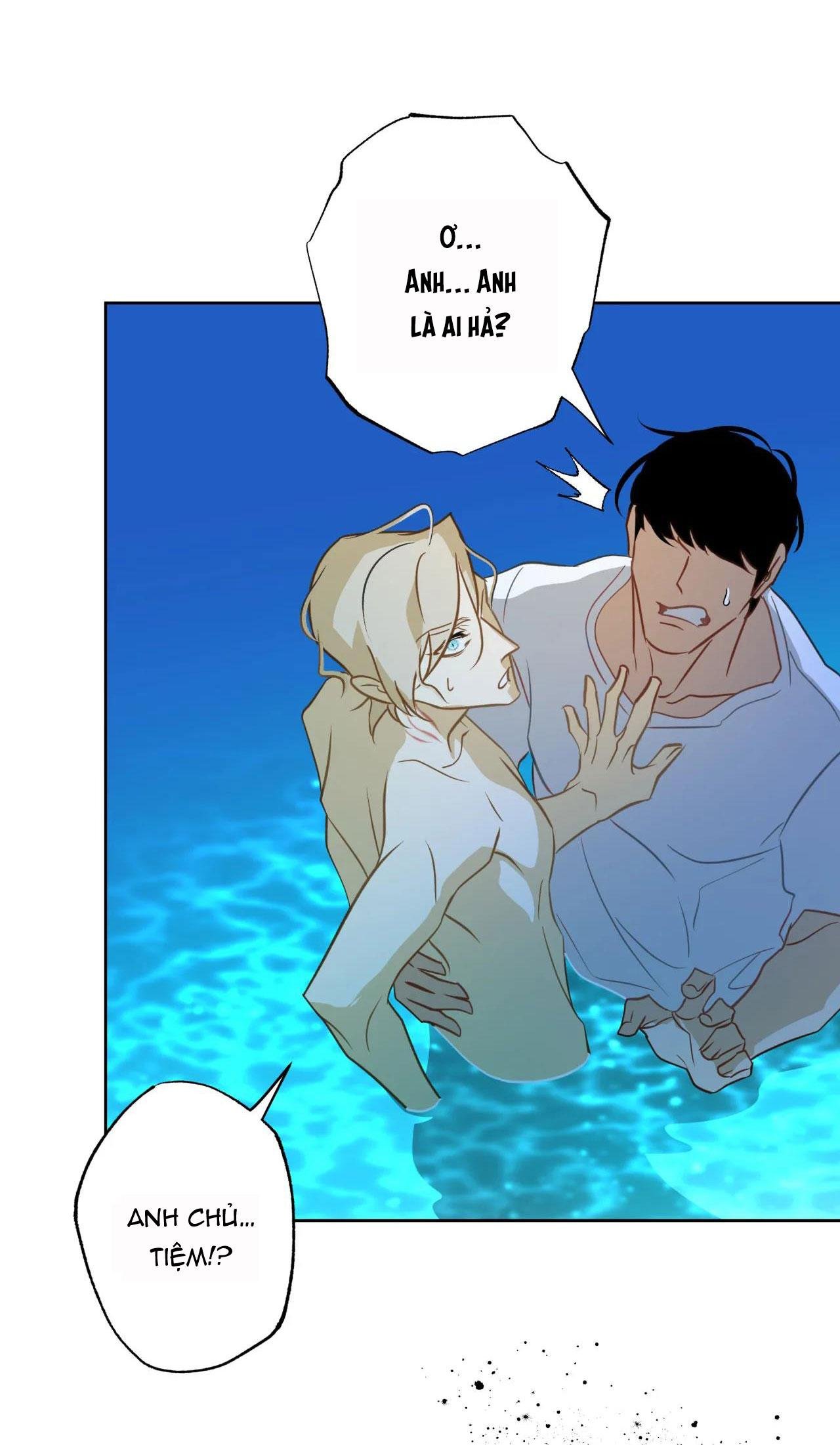 mỹ nhân ngư chapter 2 42
