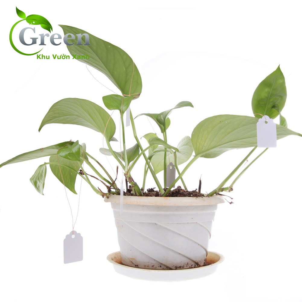 Set 100 thẻ tag ghi tên đánh dấu cây trồng bằng nhựa chống thấm nước 3.6x2.5cm