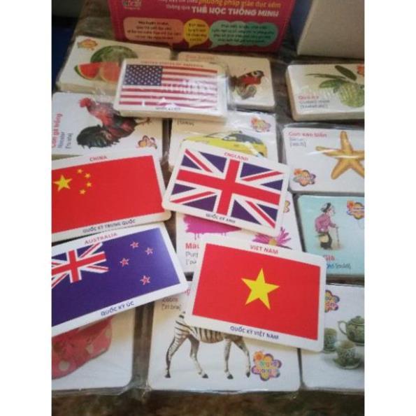Bộ Thẻ Học Thông Minh 416 Thẻ 16 Chủ Đề Song Ngữ Anh-Việt Theo Phương Pháp Glenn Doman
