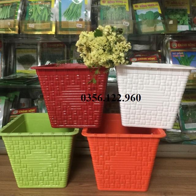 Bộ 5 chậu nhựa vuông giả mây trắng -KT 18x10cm