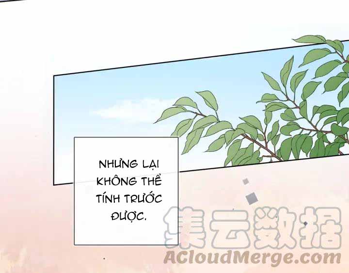 Minh Nhật Tinh Trình Chapter 27 - Next Chapter 28